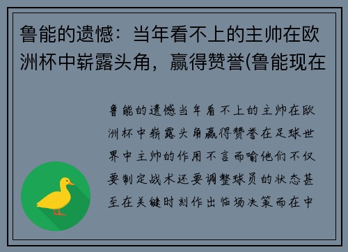 鲁能的遗憾：当年看不上的主帅在欧洲杯中崭露头角，赢得赞誉(鲁能现在的主帅是谁)
