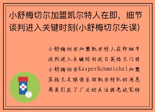小舒梅切尔加盟凯尔特人在即，细节谈判进入关键时刻(小舒梅切尔失误)