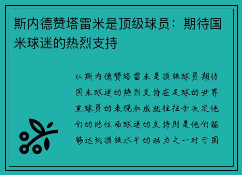 斯内德赞塔雷米是顶级球员：期待国米球迷的热烈支持