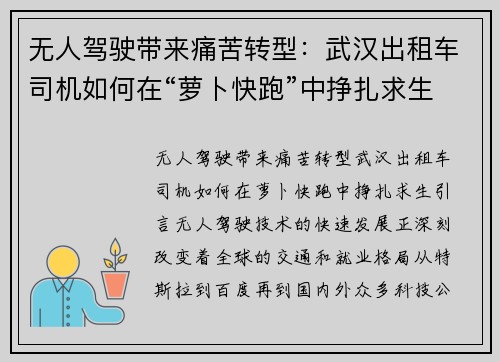 无人驾驶带来痛苦转型：武汉出租车司机如何在“萝卜快跑”中挣扎求生